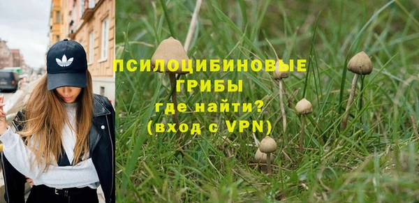 гидропоника Абаза