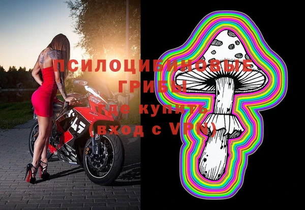 ПСИЛОЦИБИНОВЫЕ ГРИБЫ Абдулино