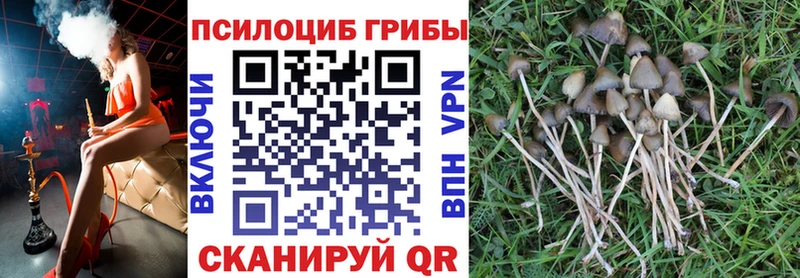 продажа наркотиков  Сорск  Галлюциногенные грибы прущие грибы 